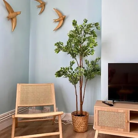 L'horizon, à 100 Mètres De La